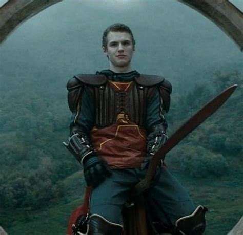 maclagan harry potter|Cormac McLaggen (Freddie Stroma) in Harry Potter and the Half .
